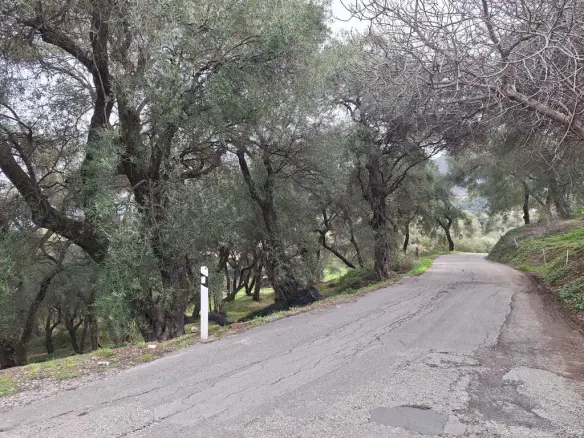 Land In Corfu, Greece