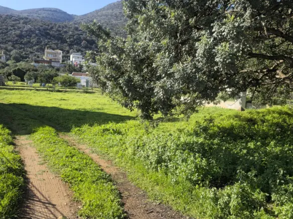 Land In Mallia, Greece
