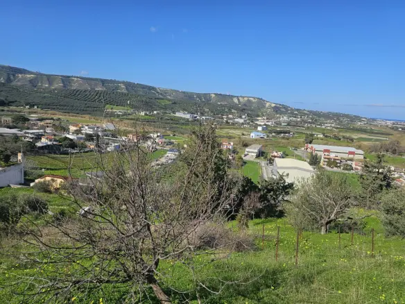 Land In Temenos, Greece