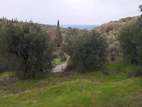 Land In Corfu, Greece