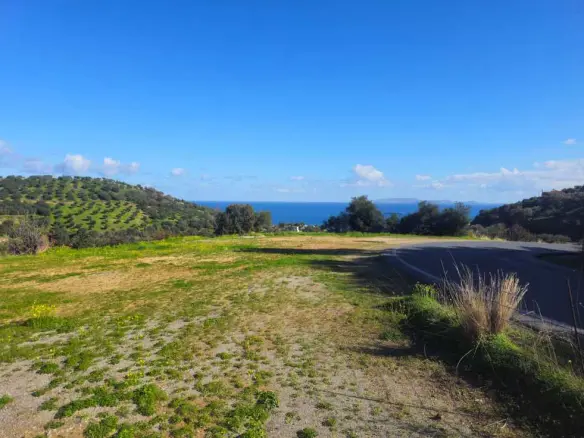 Land In Gazi, Greece