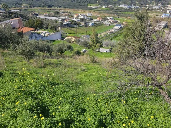Land In Temenos, Greece