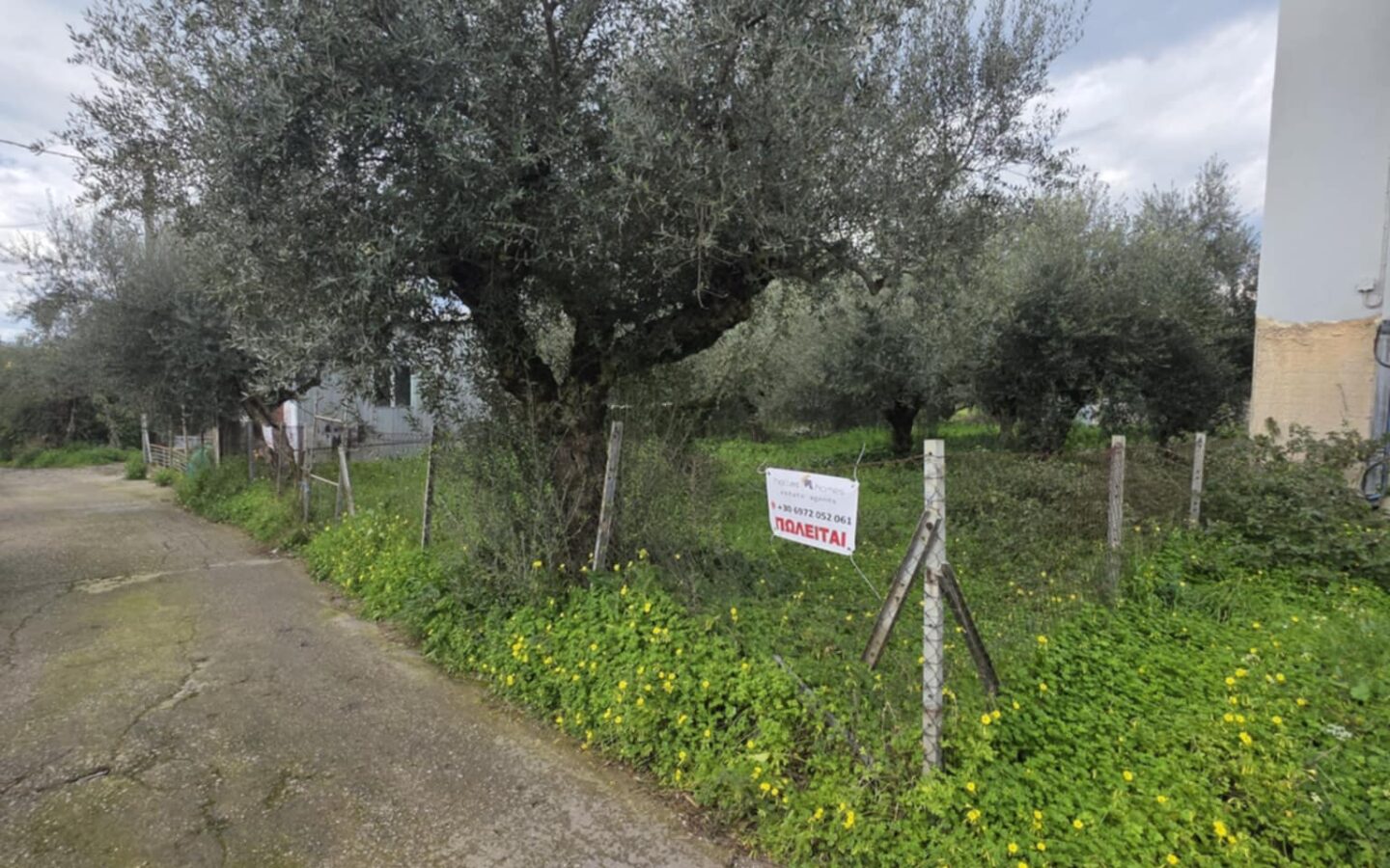 Plot Of Land Of 427.02 M² In Aithea, Thouria Kalamata