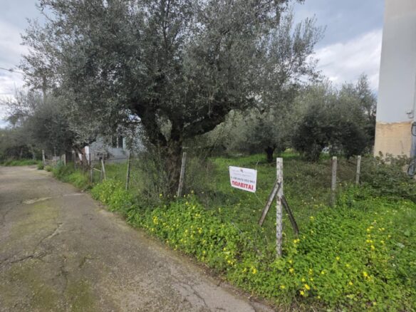 Plot Of Land Of 427.02 M² In Aithea, Thouria Kalamata