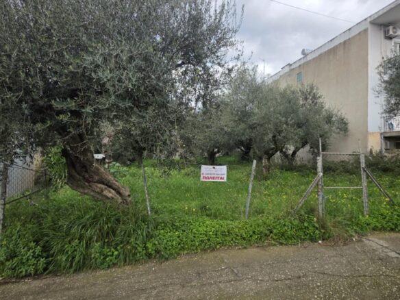 Plot Of Land Of 427.02 M² In Aithea, Thouria Kalamata
