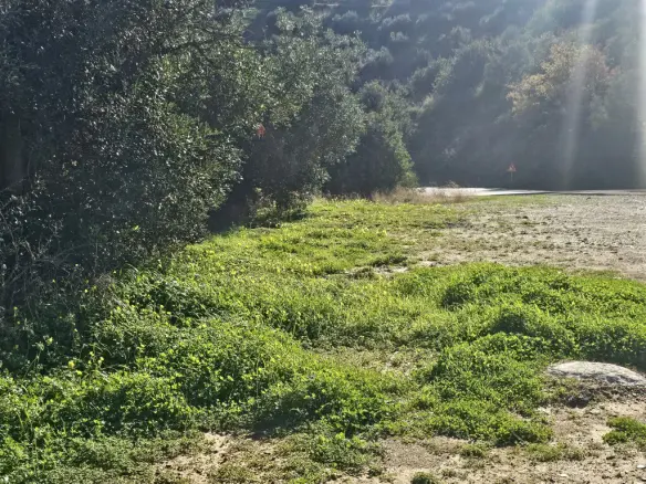 Land In Gazi, Greece
