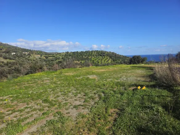 Land In Gazi, Greece