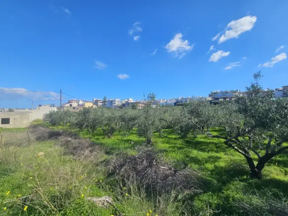 Land In Gazi, Greece