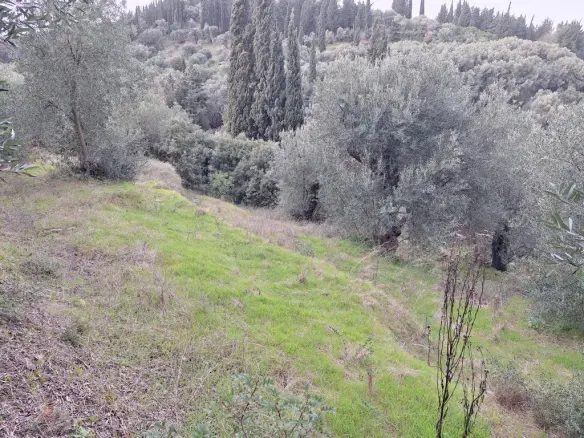 Land In Corfu, Greece