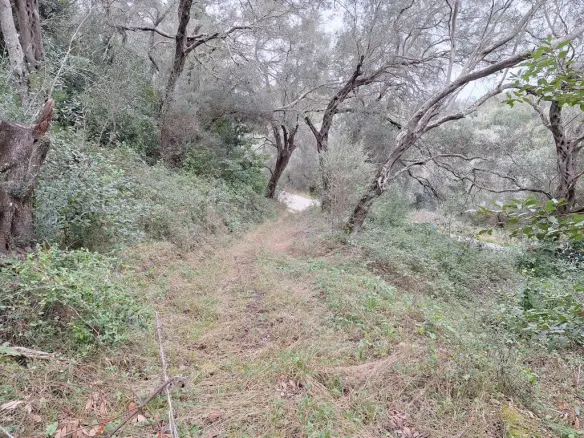Land In Corfu, Greece