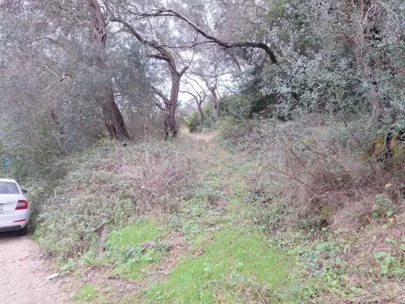 Land In Corfu, Greece