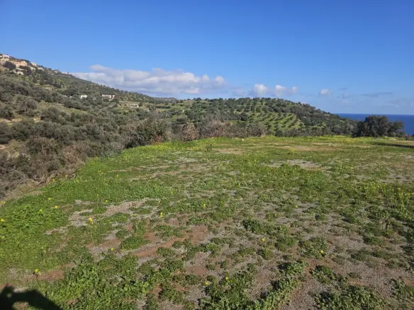 Land In Gazi, Greece