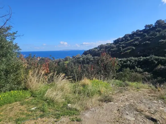Land In Gazi, Greece