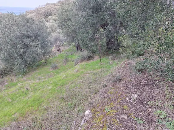 Land In Corfu, Greece