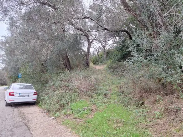 Land In Corfu, Greece