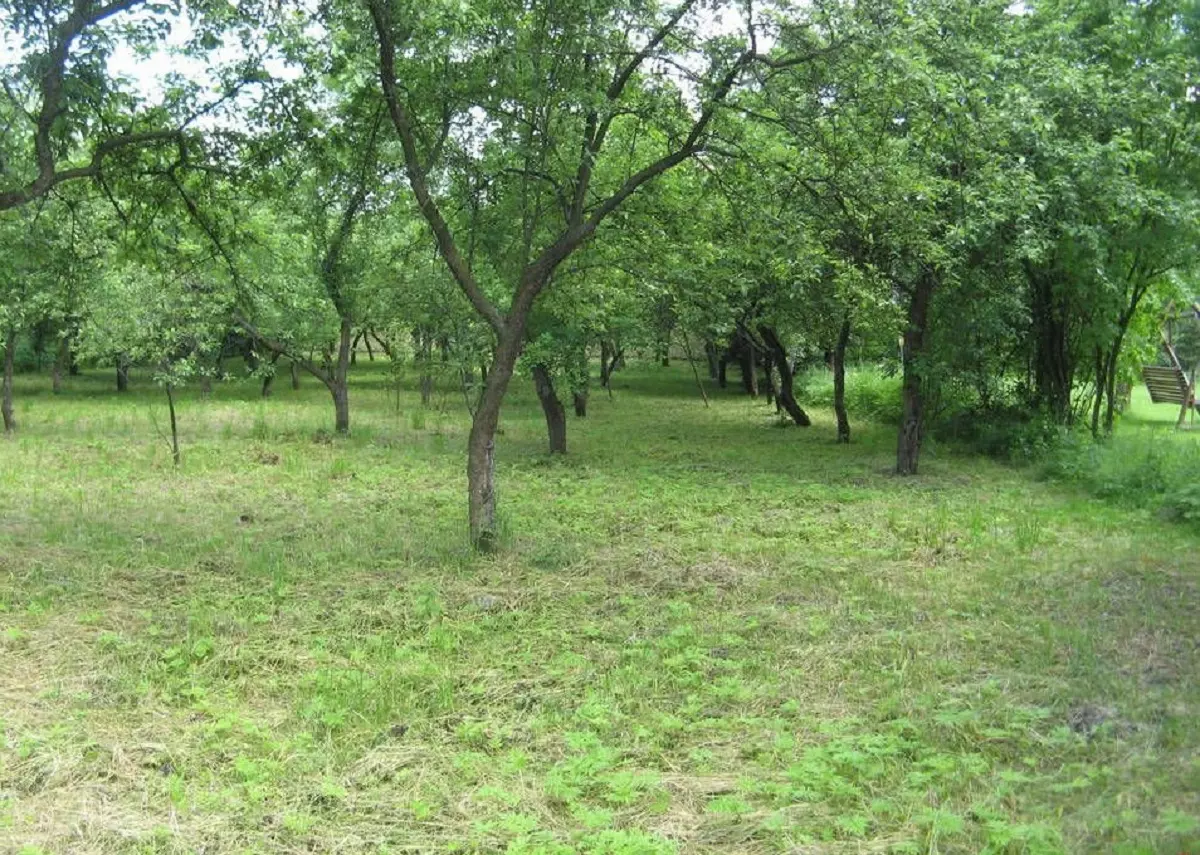 16e62d_4edb_xbig-dzialka-budowlana-suski-sucha-beskidzka (1)