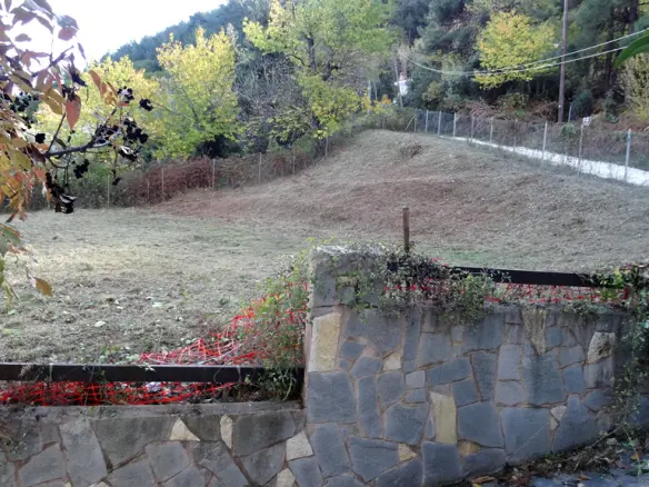 Land In Thasos, Greece