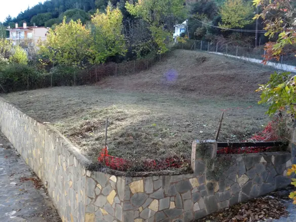 Land In Thasos, Greece