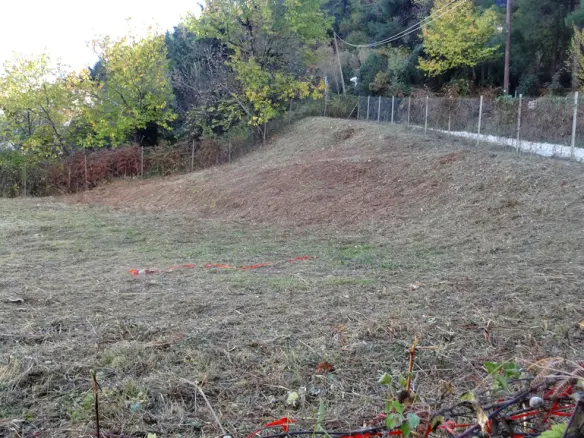Land In Thasos, Greece