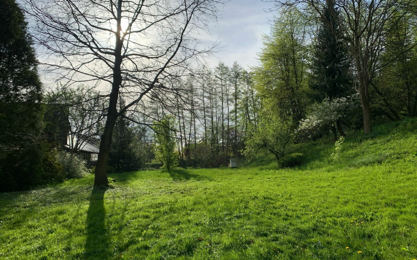 Unique Property Near Kraków – 4000 M² Of Land With Existing Buildings By A Protected Landscape Park