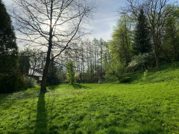 Unique Property Near Kraków – 4000 M² Of Land With Existing Buildings By A Protected Landscape Park
