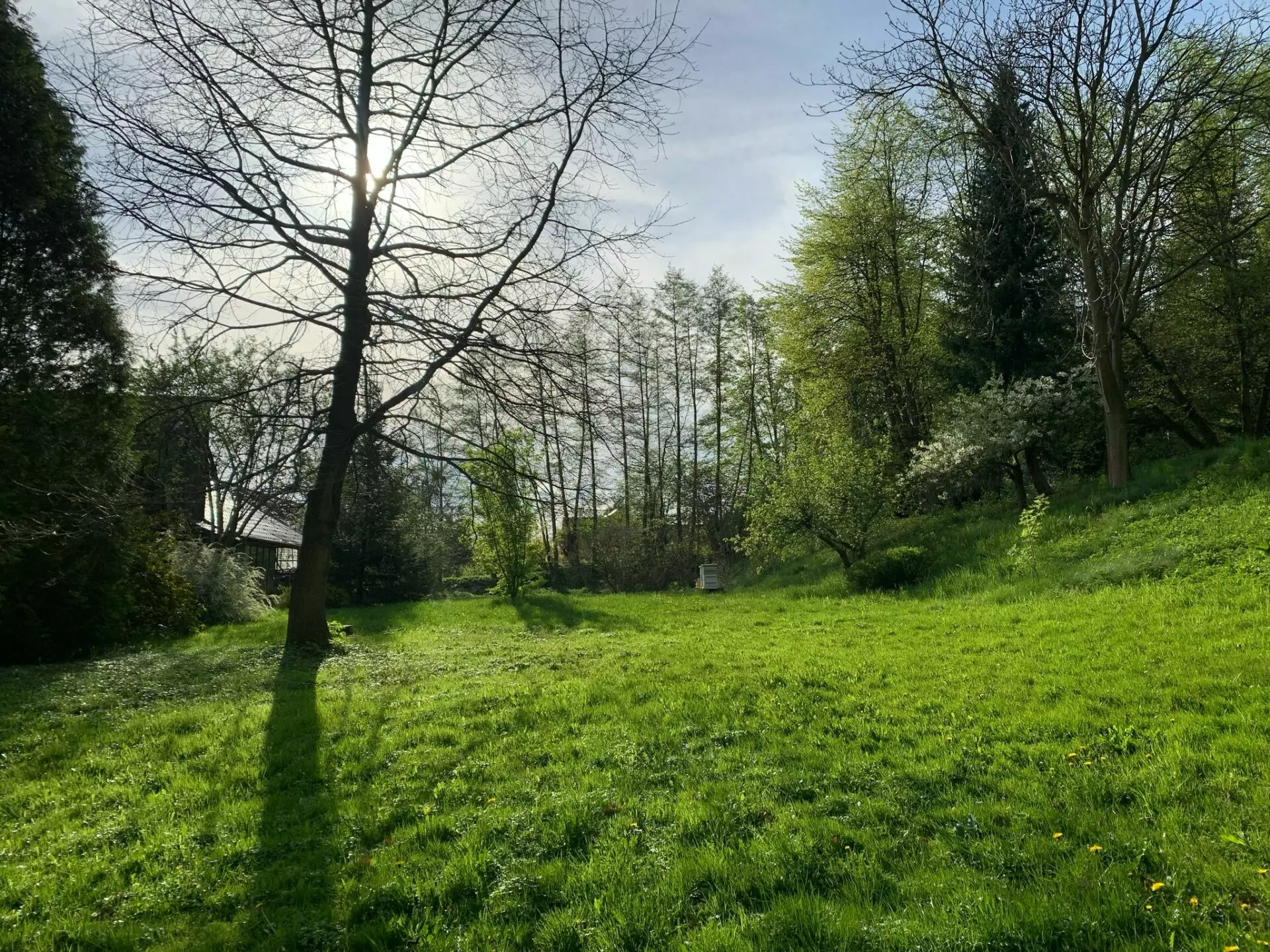 668bb53d-8c2a-4159-8a5a-e391469bc968