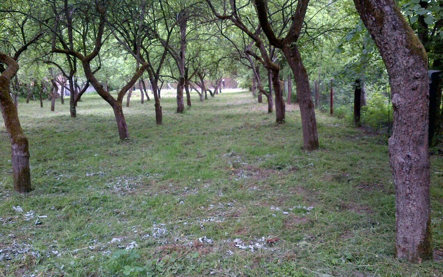 Land/lot For Sale. Sucha Beskidzka.private Sale.