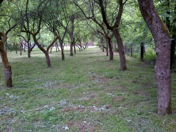 Land/lot For Sale. Sucha Beskidzka.private Sale.