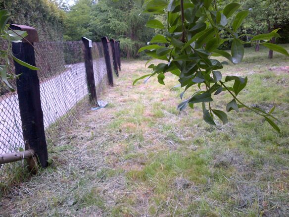 Land/lot For Sale. Sucha Beskidzka.private Sale.