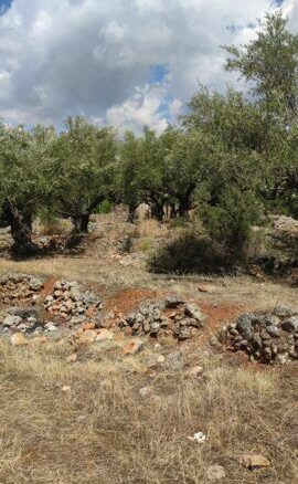 Plot Of 2,422.34 M² In Arfara, Kalamata