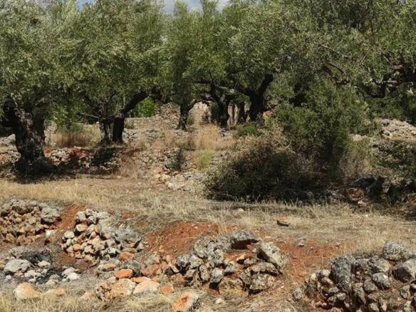 Plot Of 2,422.34 M² In Arfara, Kalamata