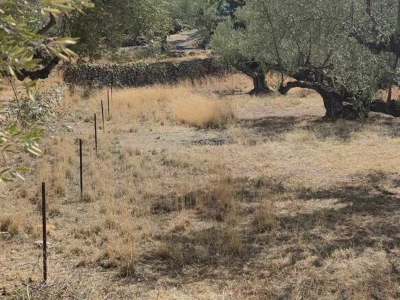 Plot Of 2,422.34 M² In Arfara, Kalamata
