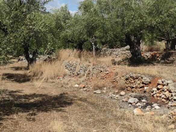 Plot Of 2,422.34 M² In Arfara, Kalamata
