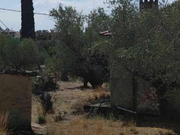 Plot Of 1,304 M² In Arfara, Kalamata