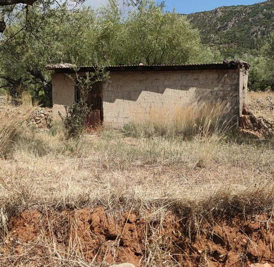 Plot Of 1,304 M² In Arfara, Kalamata