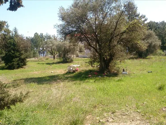 Land In Poligiros, Greece