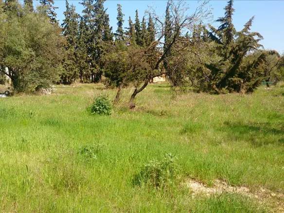 Land In Poligiros, Greece