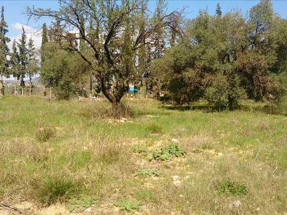 Land In Poligiros, Greece