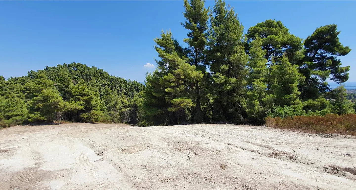 Land In Kassandra, Greece