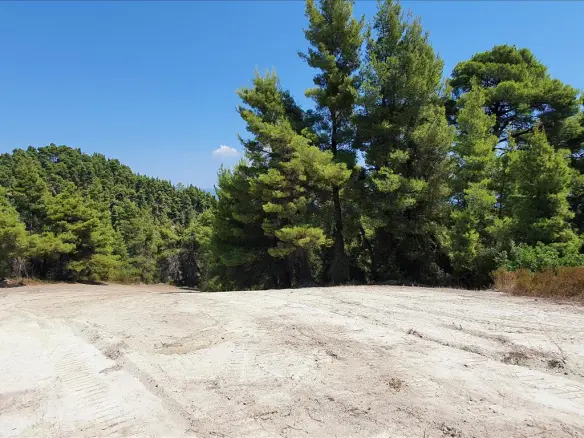 Land In Kassandra, Greece