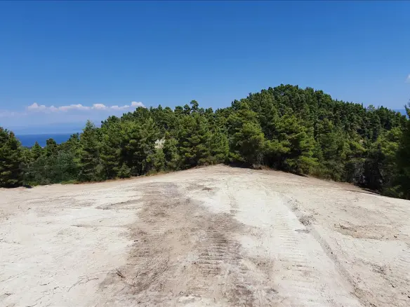 Land In Kassandra, Greece
