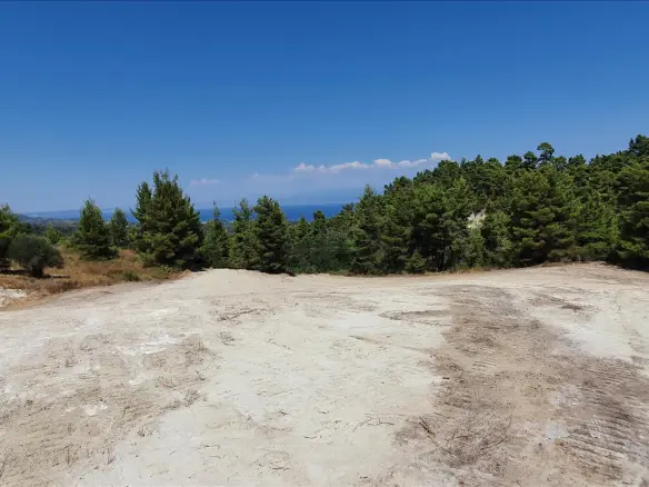 Land In Kassandra, Greece