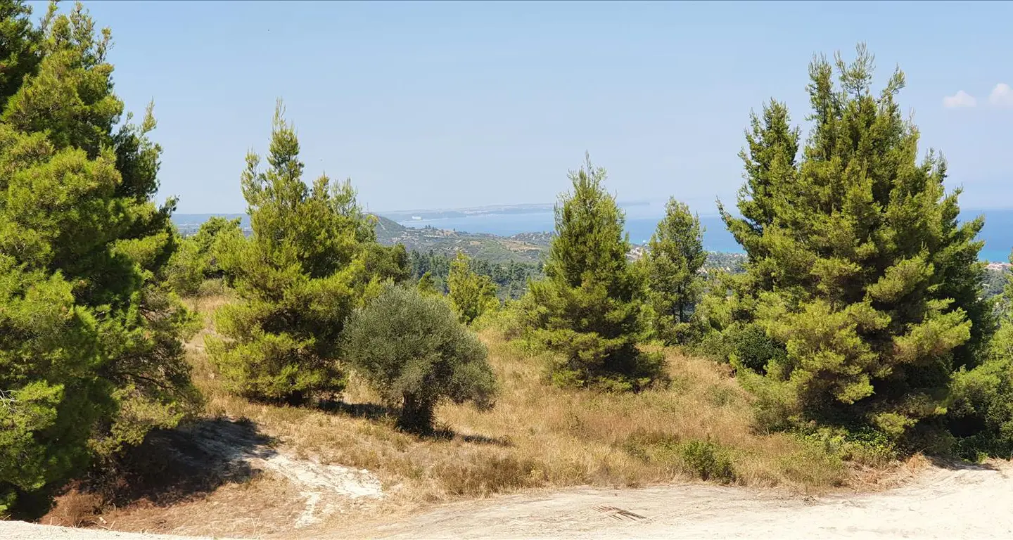 Land In Kassandra, Greece