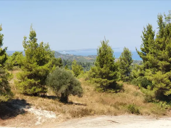 Land In Kassandra, Greece