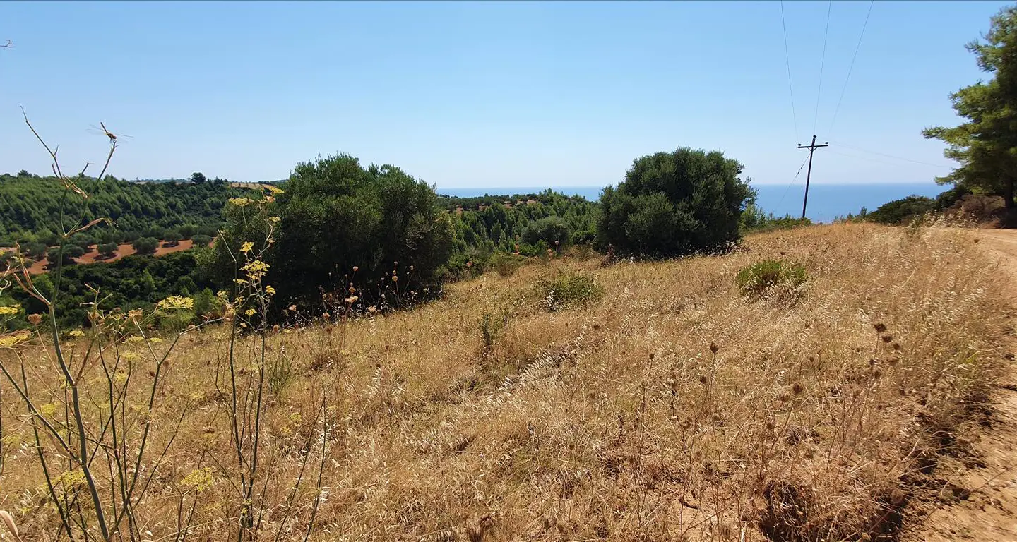 Land In Kassandra, Greece