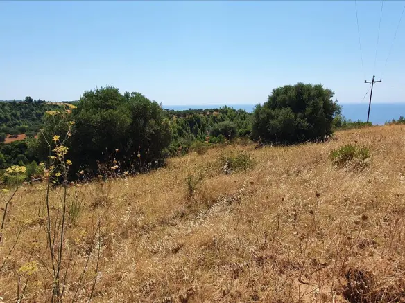 Land In Kassandra, Greece