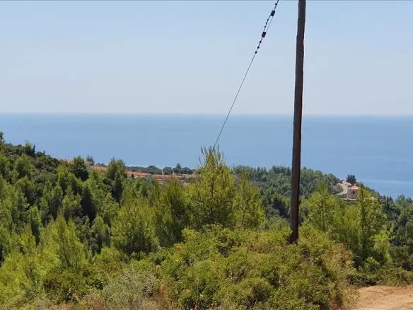 Land In Kassandra, Greece
