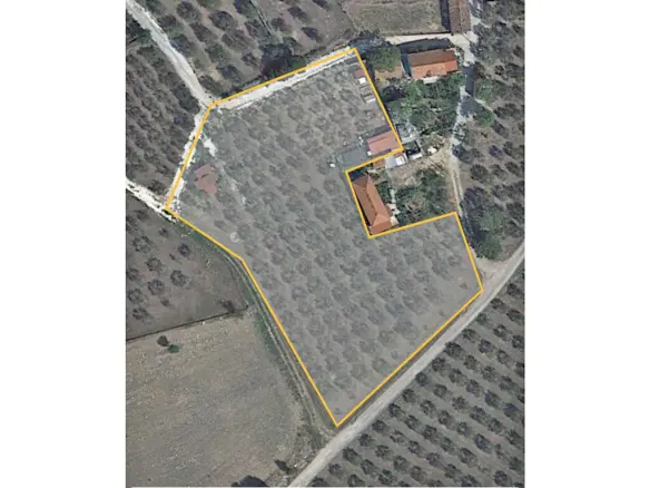Land In Servia, Greece