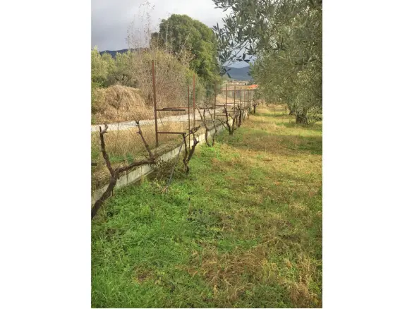 Land In Servia, Greece