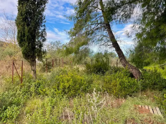 Land In Corfu, Greece